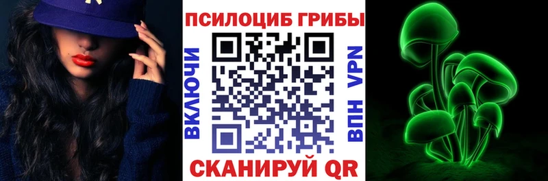 купить   Безенчук  Галлюциногенные грибы мицелий 